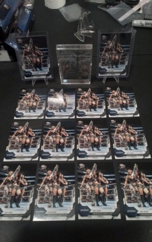 Wwe topps now jacy jayne - now,